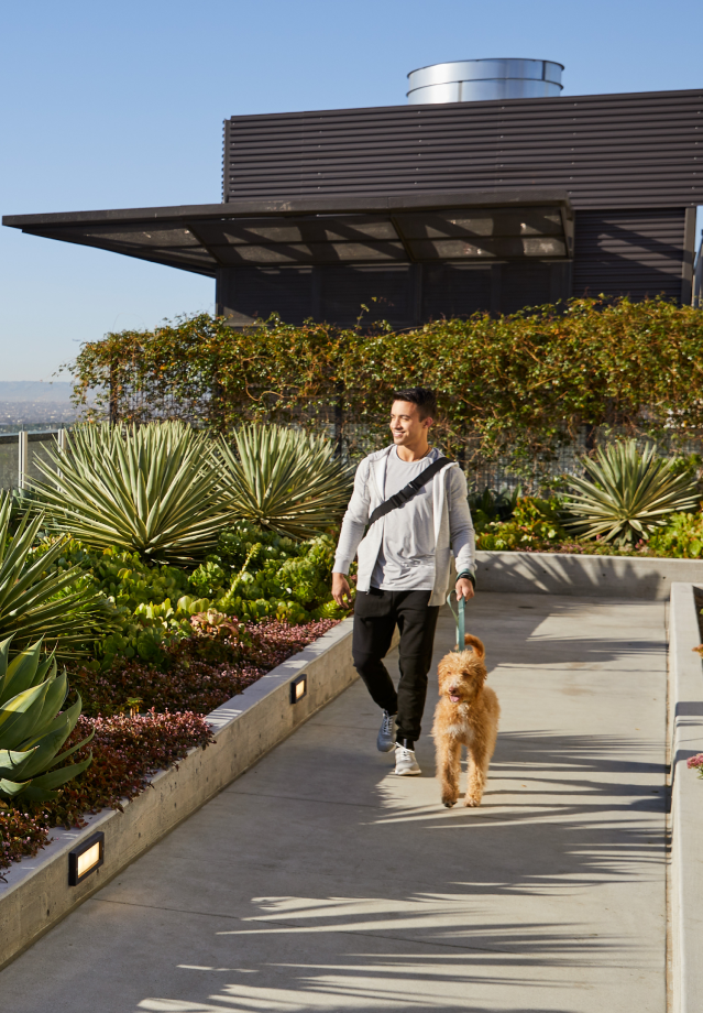 Man walking his dog